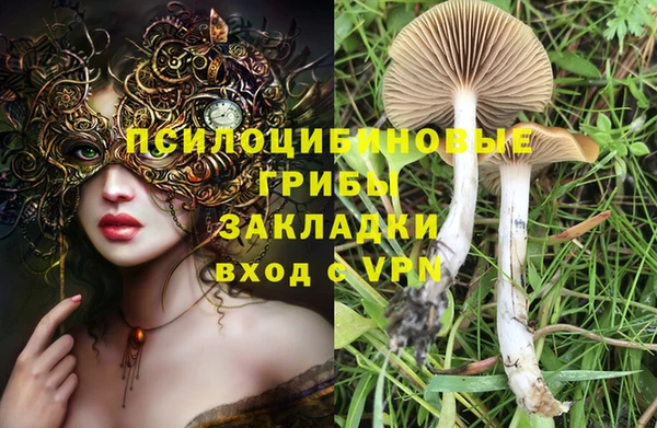 синтетический гашиш Богданович