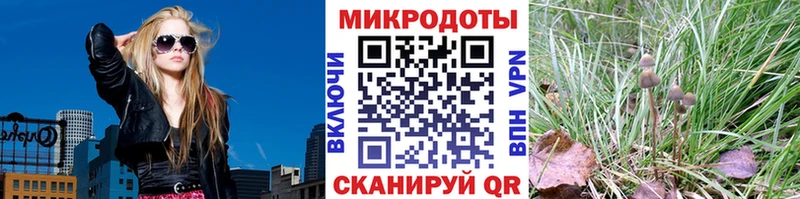 МЕГА tor  Валдай  Галлюциногенные грибы MAGIC MUSHROOMS 